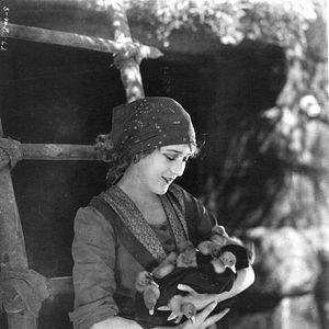 Bilder Mary Pickford