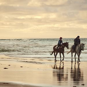Bilder Ride Like a Girl - Ihr größter Traum