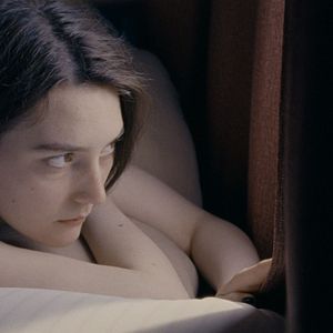 Bilder Niemals Selten Manchmal Immer