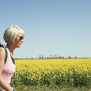 Bilder Himmel über dem Camino - Der Jakobsweg ist Leben!