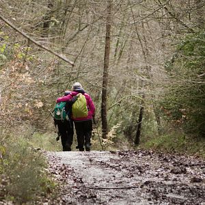 Bilder Himmel über dem Camino - Der Jakobsweg ist Leben!