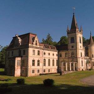 Bilder Die Geburt des Leoparden