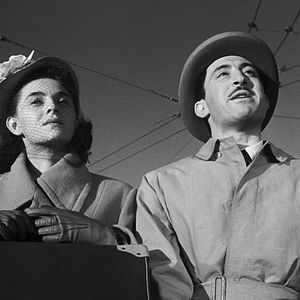 Bilder Brunella Bovo