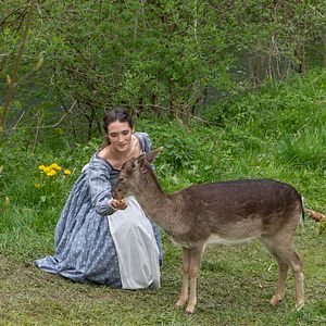 Bilder Die drei Königskinder