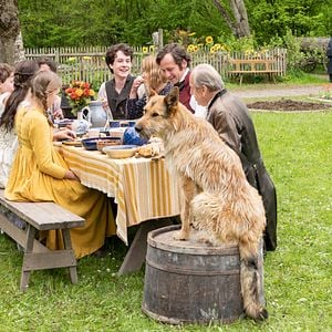 Bilder Die drei Königskinder