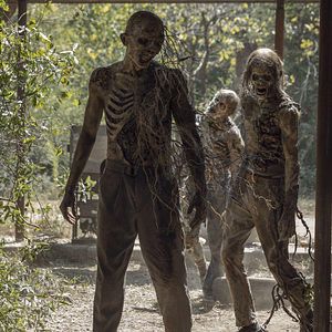 Bilder The Walking Dead