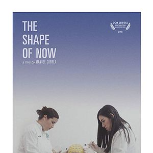 Bilder The Shape of Now