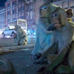 Bilder Die Erde bei Nacht