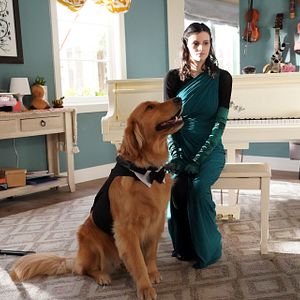 Bilder Everything's Gonna Be Okay