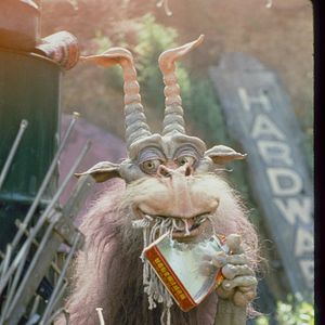 Bilder Unglaubliche Geschichten