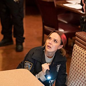 Bilder Arielle Kebbel