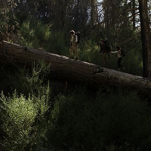 Bilder The Beast Within - Es lebt in Dir