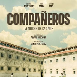 Bilder Tage wie Nächte