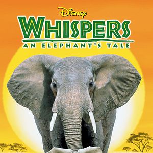 Bilder Whispers: Ein Elefantenmärchen