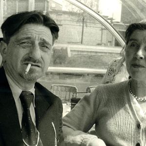 Bilder Pingouin & Goéland et leurs 500 petits