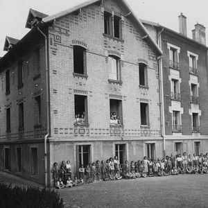 Bilder Pingouin & Goéland et leurs 500 petits