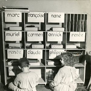 Bilder Pingouin & Goéland et leurs 500 petits