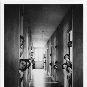 Bilder Pingouin & Goéland et leurs 500 petits