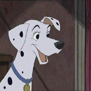 Bilder 101 Dalmatiner - Teil 2: Auf kleinen Pfoten zum großen Star!