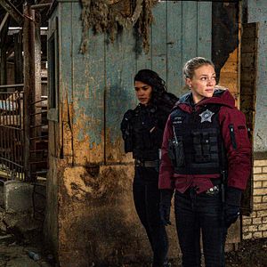 Bilder Tracy Spiridakos