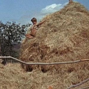 Bilder Kevin Corcoran