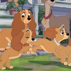 Bilder Susi und Strolch 2: Kleine Strolche - Großes Abenteuer!