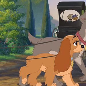 Bilder Susi und Strolch 2: Kleine Strolche - Großes Abenteuer!