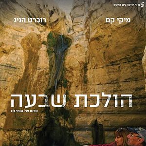 Bilder Morning Trail