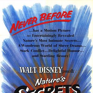 Bilder Geheimnisse des Lebens