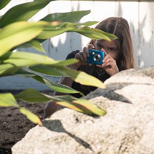 Bilder Bernie, der Delfin 2 - Ein Sommer voller Abenteuer