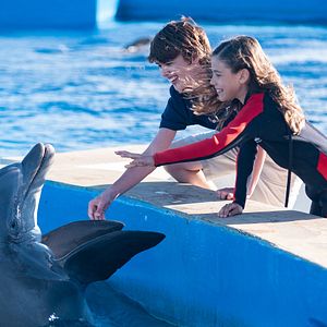 Bilder Bernie, der Delfin 2 - Ein Sommer voller Abenteuer