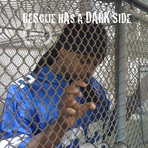 Bilder Mercy's Kennel