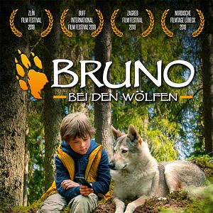 Bilder Bruno bei den Wölfen