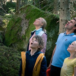 Bilder Bruno bei den Wölfen