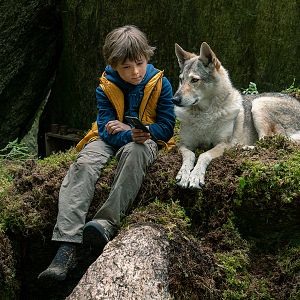 Bilder Bruno bei den Wölfen