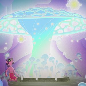 Bilder Enthüllungen zu Mitternacht