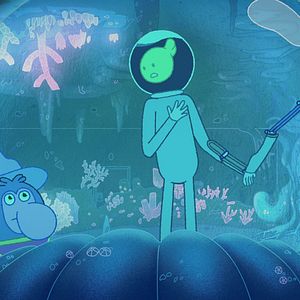 Bilder Enthüllungen zu Mitternacht