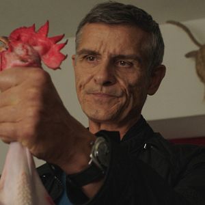 Bilder Jean-Gilles Barbier