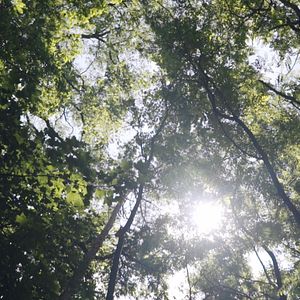 Bilder SEIN - gesund, bewusst, lebendig