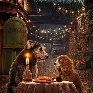 Bilder Susi und Strolch