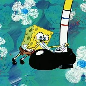 Bilder SpongeBob Schwammkopf