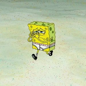 Bilder SpongeBob Schwammkopf