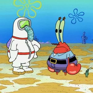 Bilder SpongeBob Schwammkopf