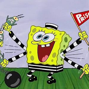 Bilder SpongeBob Schwammkopf