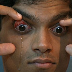 Bilder The table with the dogs