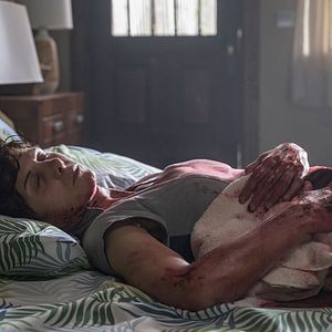 Bilder Isabel Naveira