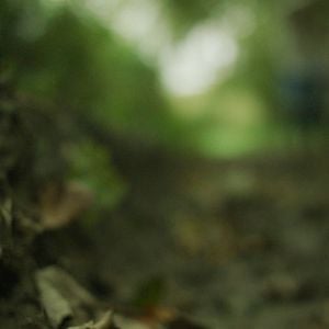 Bilder Mutant River - Blutiger Alptraum