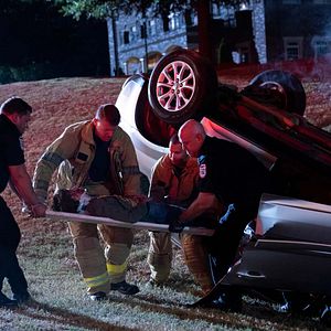 Bilder Süße Magnolien