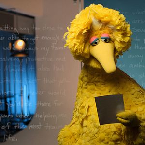 Bilder Caroll Spinney