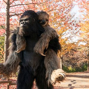 Bilder Rettet den Zoo